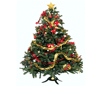 Charity Christmas Trees